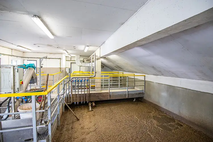 kalové hospodářství